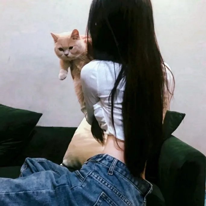 少女法哈海报